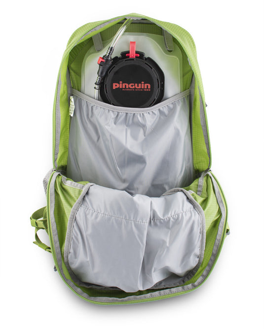 Rucksack Pinguin Ride 25L 2020 grün