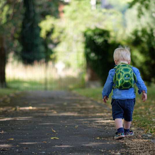 LittleLife Kleinkind-Rucksack 2l – Schildkröte