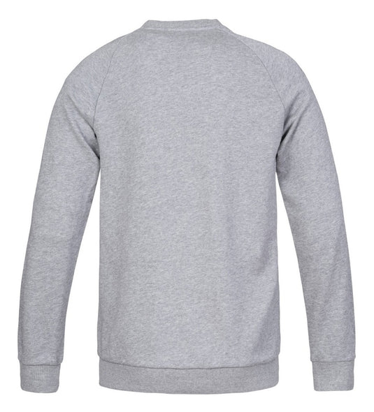 Herren-Sweatshirt Hannah Tegal Drizzle mel